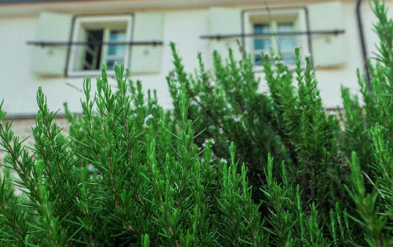 Dembelija Rooms Virpazar Exterior foto